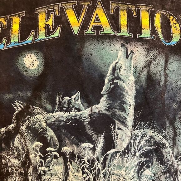 Color tone mineral wash elevation wolf T-shirt. Size M - Picture 1 of 7